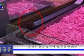 老鼠爬上生鲜货架啃肉馅，超市不以为然继续卖，男子怒斥：恶心！视频封面