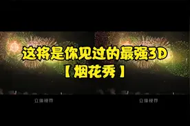 【裸眼3D/烟花】最强3D烟花秀—打上花火的正确打开方法，震撼！视频封面