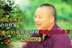 退伍老兵10年荒山种树有妙招，一山收获6种财富，年赚2200多万！视频封面