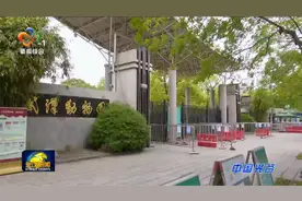 武汉动物园最大规模改造年内启动视频封面