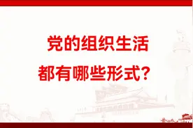 党的组织生活都有哪些形式？视频封面
