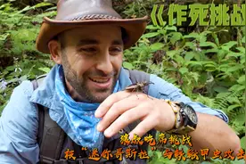 狼叔吃席挑战：被迷你哥斯拉与铁锹甲虫攻击，结局亮了@西瓜视频视频封面