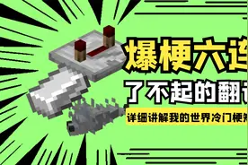 【MC梗百科】这些都是哪个大佬写的翻译，简直神了视频封面