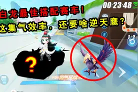 QQ飞车手游：小白龙最佳搭配赛车！有这集气效率，还要啥逆天鹰？视频封面