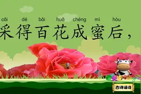 蜂 为谁辛苦为谁甜 宝贝牛古诗诵读 国学唐诗宋词 唐代 诗歌 罗隐视频封面