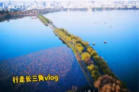 行走长三角vlog丨无锡如何融入长三角一体化？视频封面