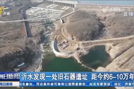 大量罕见文物出土！地层堆积近8米，沂水跋山遗址距今约6-10万年视频封面