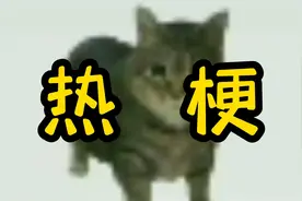 Oiiaioooooiai是什么梗？