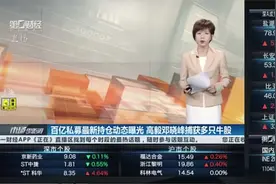 百亿私募最新持仓动态曝光 高毅邓晓峰捕获多只牛股视频封面