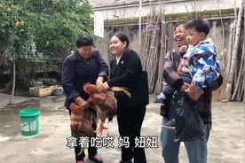 妞妞带4只鸡看怀孕大姑姐，亲人见面真开心，亲家母往外撵咋回事视频封面
