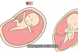 从胎儿特征能否辨认胎儿性别视频封面