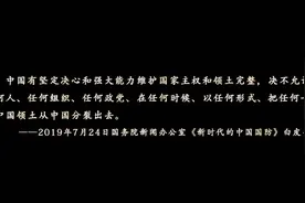 拼将一腔报国志，身许汗青沥肝胆视频封面
