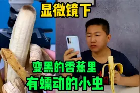 网传，显微镜观察发黑的香蕉，能看到会蠕动的小虫子，是真的吗？