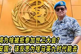 台湾为啥被拒参加世卫大会？高安国：该反思为啥马英九时代能去视频封面