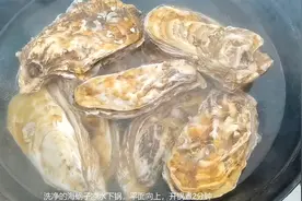 煮生蚝，凉水下锅煮还是开水下锅？海鲜贩子教你正确方法，真鲜美视频封面