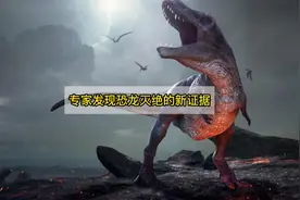 恐龙灭绝的新证据：专家在月球样本中，发现小行星撞击留下的痕迹视频封面