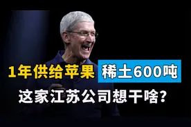 每月卖给苹果稀土50吨，这家江苏公司火了！网友：华为的事忘了？视频封面