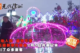 正月十五闹花灯 徐州新春灯展会吸引众多游客视频封面