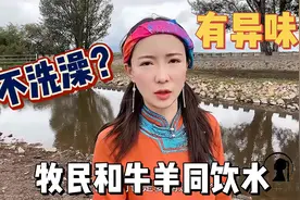 蒙古人不洗澡身上有异味？牧民与牛羊同饮一处水，周边嘎查全靠它视频封面