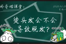 【好奇喵】烫头发究竟会不会导致脱发？视频封面