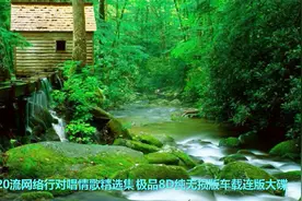 2020网络流行对唱情歌精选集 极品8D纯无损版车载连版大碟视频封面
