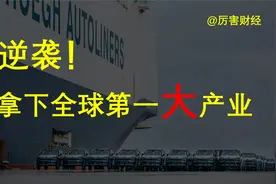 【厉害】从一穷二白到世界之巅：中国人靠什么吃下全球第一产业？视频封面