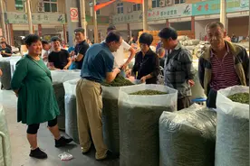 茶叶应该放冰箱冷冻还是冷藏呢？来听听专业批发商是怎么说的视频封面