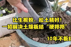7分钟教你改良土壤！土壤板结“硬邦邦”，一招解决视频封面