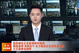 倪岳峰在正定县调研视频封面