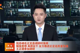 倪岳峰在正定县调研视频封面