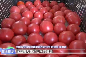 如何挑选好吃的西红柿？视频封面