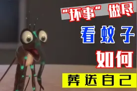 短暂的一生里，蚊子坏事做尽，看它如何葬送自己，结局反转视频封面