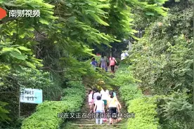 云浮：立足优势促发展 生态美景惠百姓视频封面