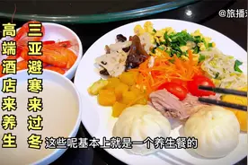 上档次！三亚高端酒店，单人住每月10500，双人14520，吃住一体化视频封面