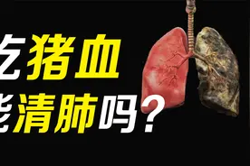 雾霾天肺部健康如何保证？多吃猪血能清肺，是真的吗？视频封面