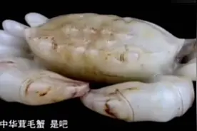 美女卖房子换金螃蟹，房子涨700万赶紧鉴宝，专家：房子卖得好！视频封面