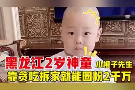 黑龙江2岁神童，靠贪吃拆家圈粉两千万，更是年入1800W爆红网络视频封面