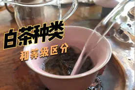 白茶的品类和等级如何区分？白毫银针白牡丹寿眉。就是等级区分吗视频封面