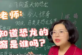 梁老师：讲解四年级下册二单元第六课《飞向蓝天的恐龙》课文小结视频封面