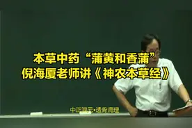 本草中药“蒲黄和香蒲”倪海厦老师讲《神农本草经》视频封面