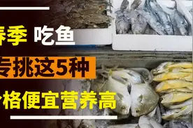 春天吃鱼：懂行的人专选这5种，都是深海鱼，便宜又营养视频封面