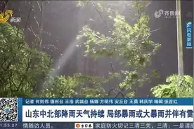 鲁西北、鲁中、半岛地区有中到大雨，局部暴雨或大暴雨并伴有雷电视频封面