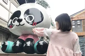 熊猫主题街，投资几百万开业不到2年就关门了？视频封面