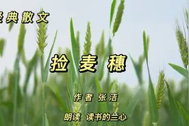 经典散文《捡麦穗》，作者张洁，我时常想起那个卖灶糖的老汉视频封面