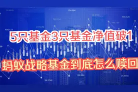 5只基金3只基金净值破1，蚂蚁战略基金到底怎么赎回？视频封面