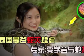 20000条蛇肆虐泰国，曼谷成为蛇的天堂，专家：要学会与蛇共存视频封面