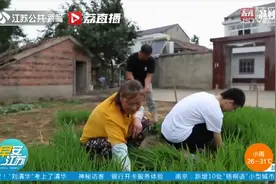 三个孩子两个上清华 宿迁一农民家庭出学霸视频封面