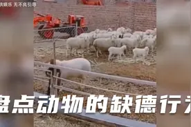 盘点动物的缺德行为，男：好吃好喝供着，这是多大仇多大怨视频封面