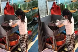 小女孩帮父母看鱼摊，杀鱼刮鳞动作熟练又麻利，顾客齐叹太懂事视频封面