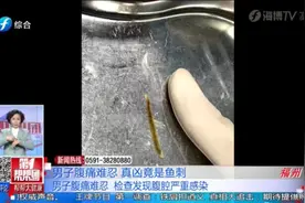 男子腹痛难忍，检查发现腹腔严重感染，病因让人大跌眼镜视频封面